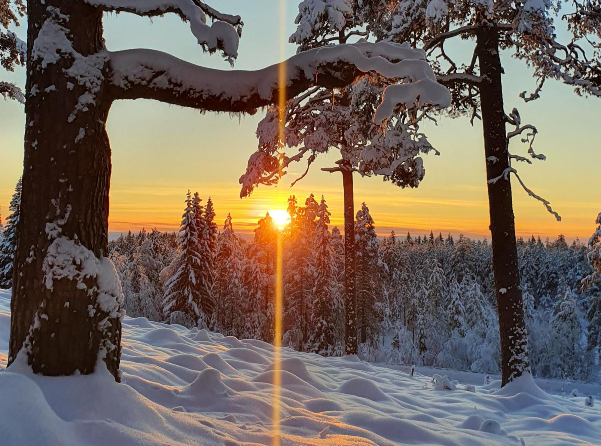 Stationshuset Dalarna Apartments Sörsjön Zewnętrze zdjęcie